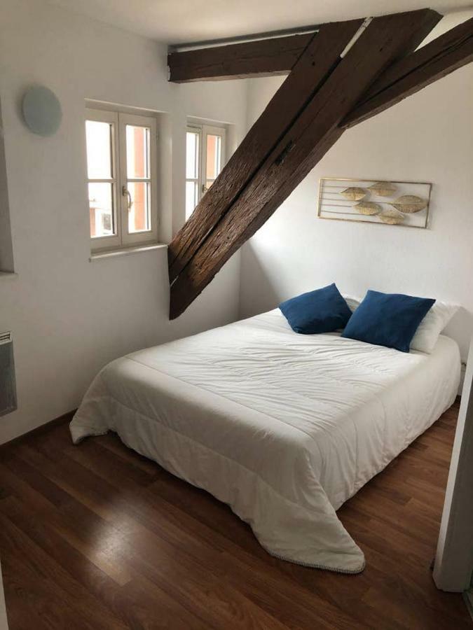 Appartement Avec Balcon Centre Ville Strasbourg Ngoại thất bức ảnh